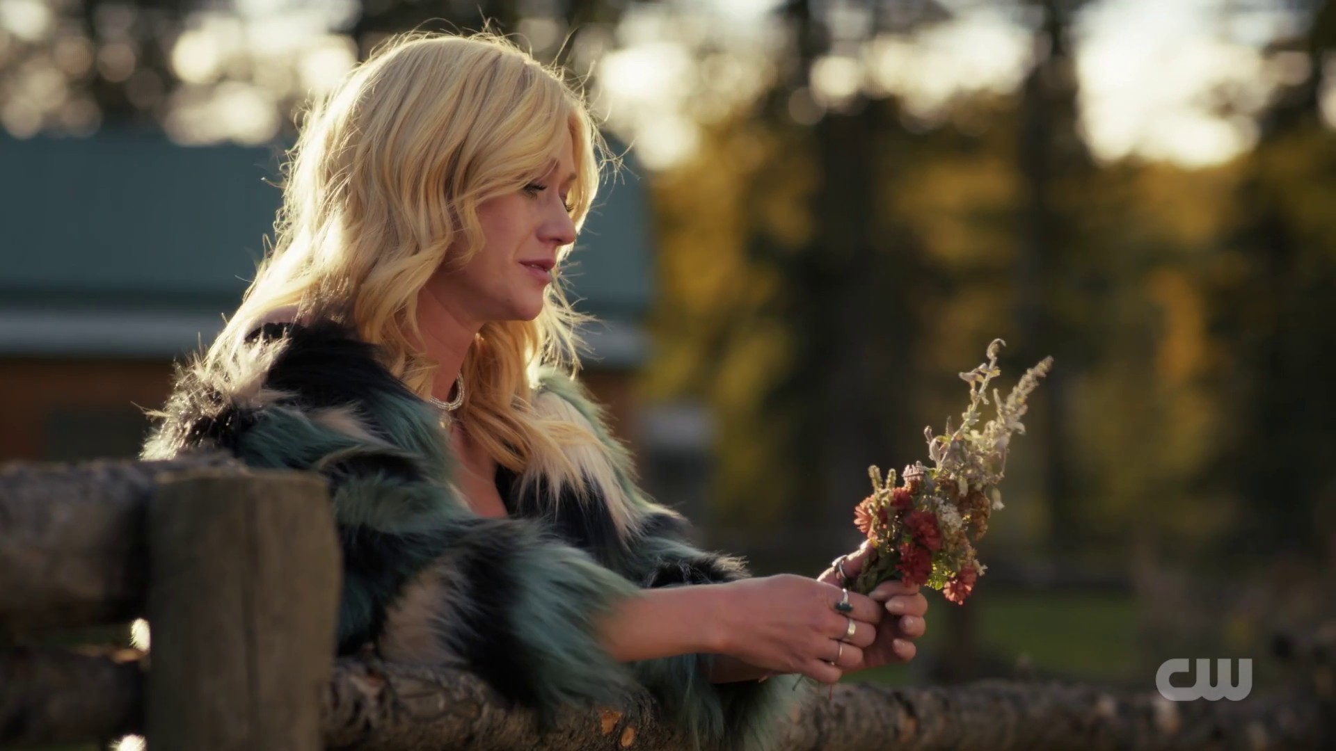 Image00342.jpg Image00342.jpg