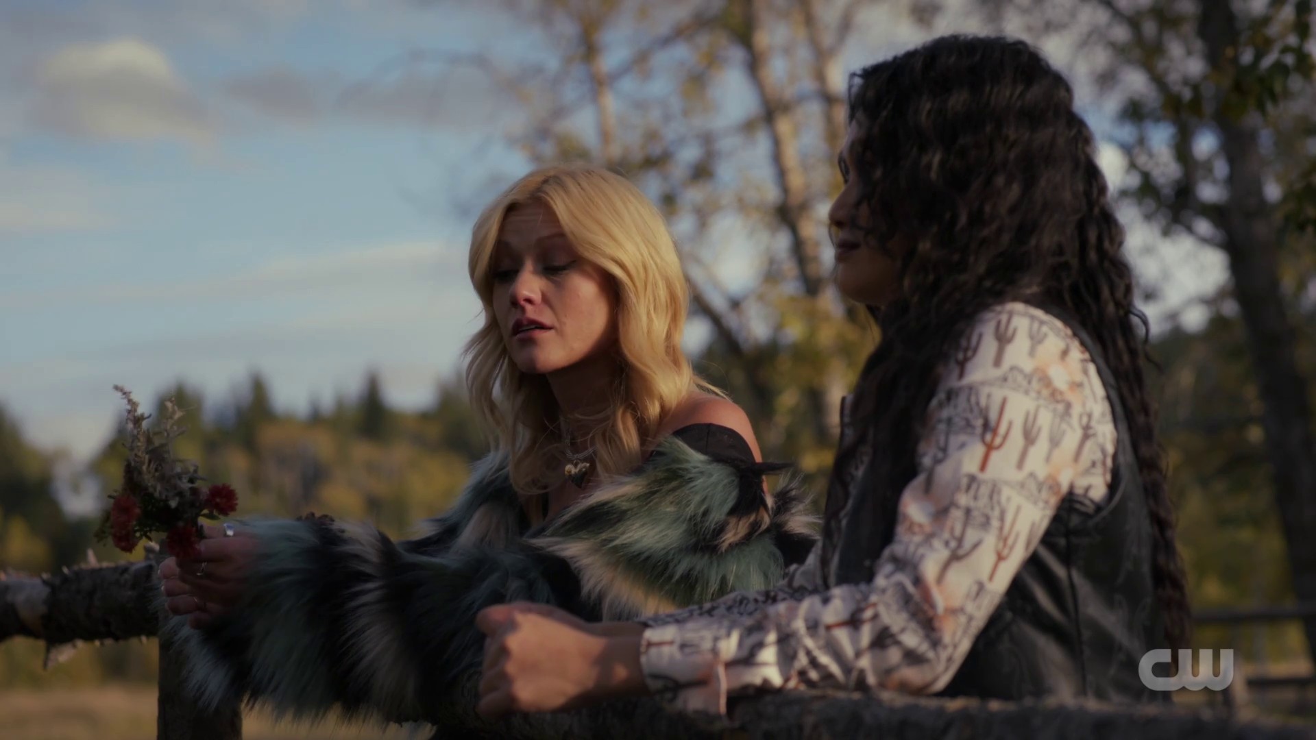 Image00350.jpg Image00350.jpg