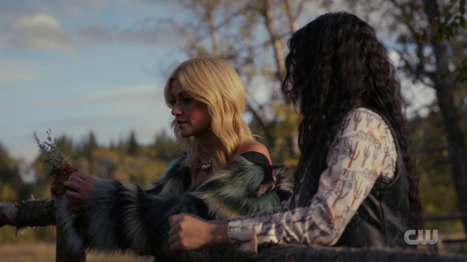 Image00351.jpg Image00351.jpg