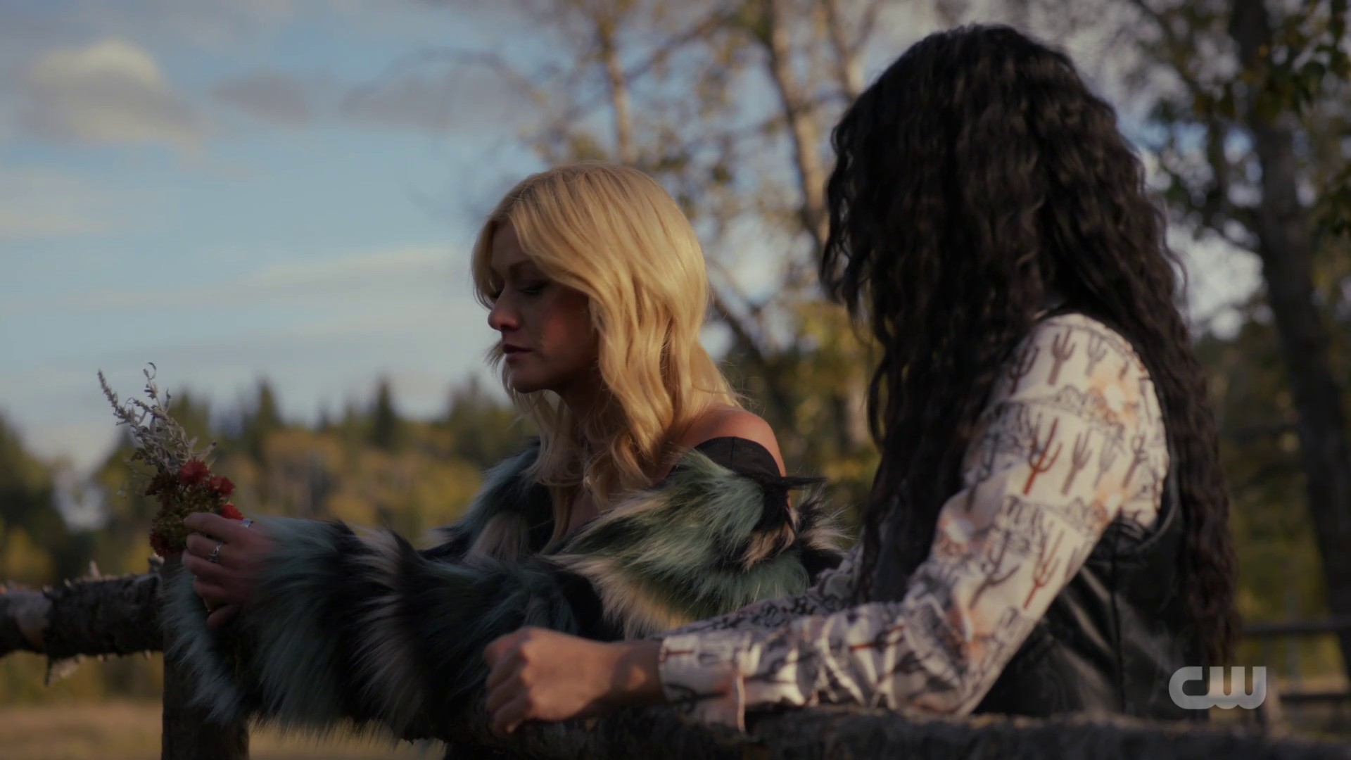 Image00353.jpg Image00353.jpg