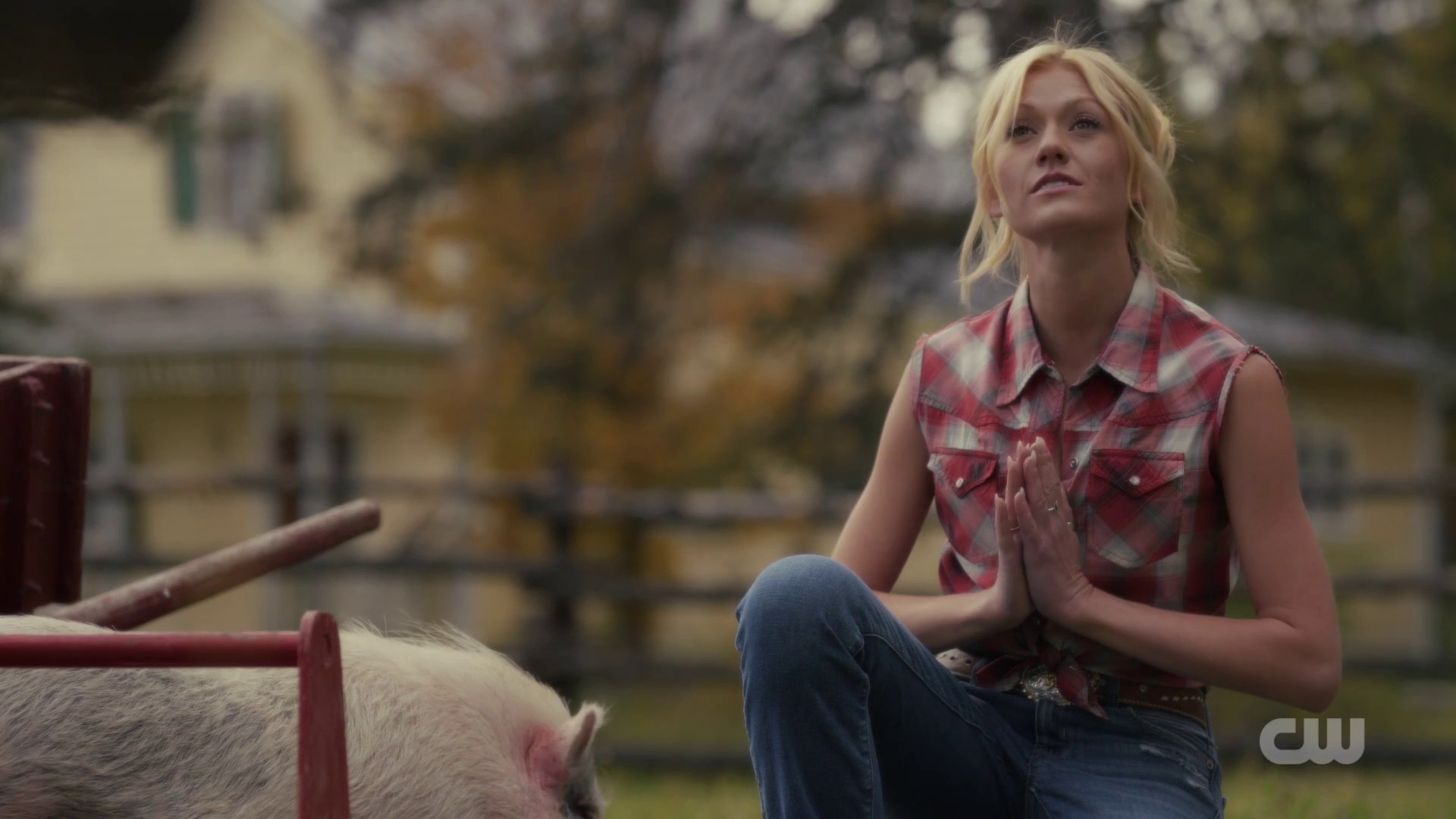 Image00775.jpg Image00775.jpg