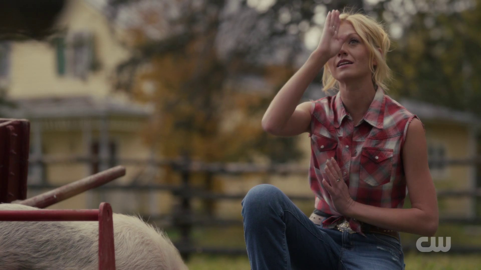 Image00776.jpg Image00776.jpg