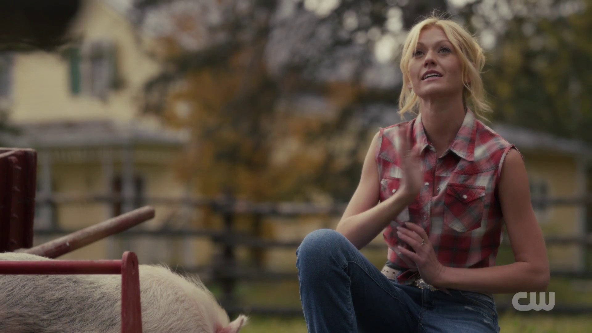 Image00777.jpg Image00777.jpg