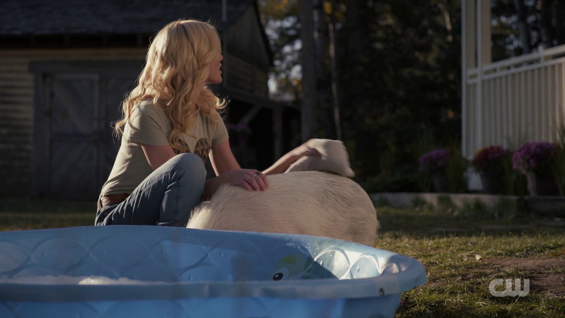 Image01773.jpg Image01773.jpg