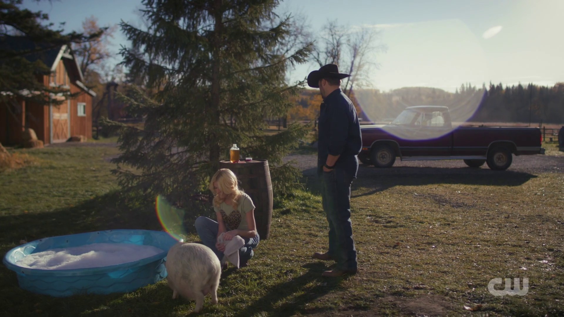 Image01777.jpg Image01777.jpg