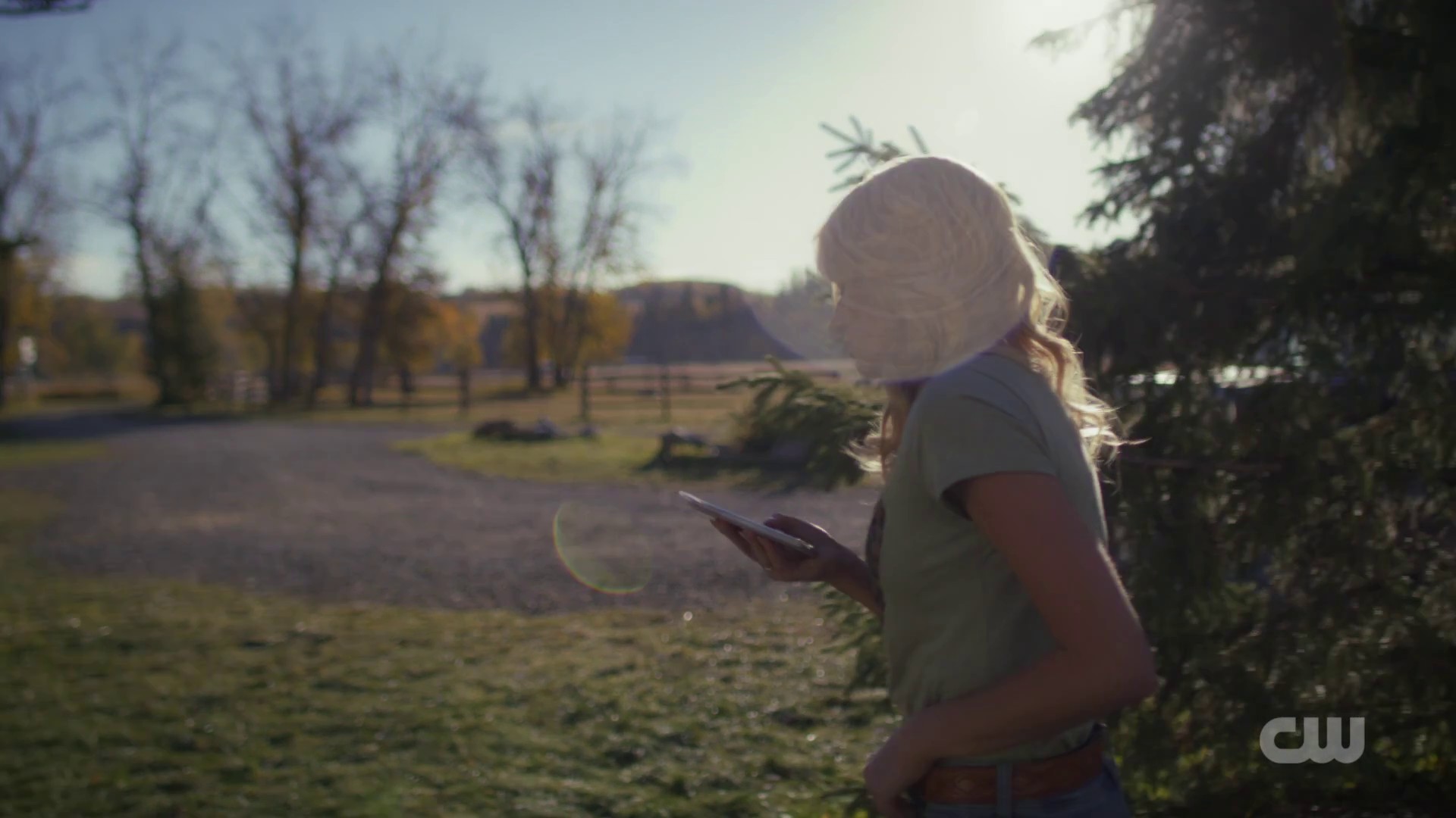 Image01786.jpg Image01786.jpg